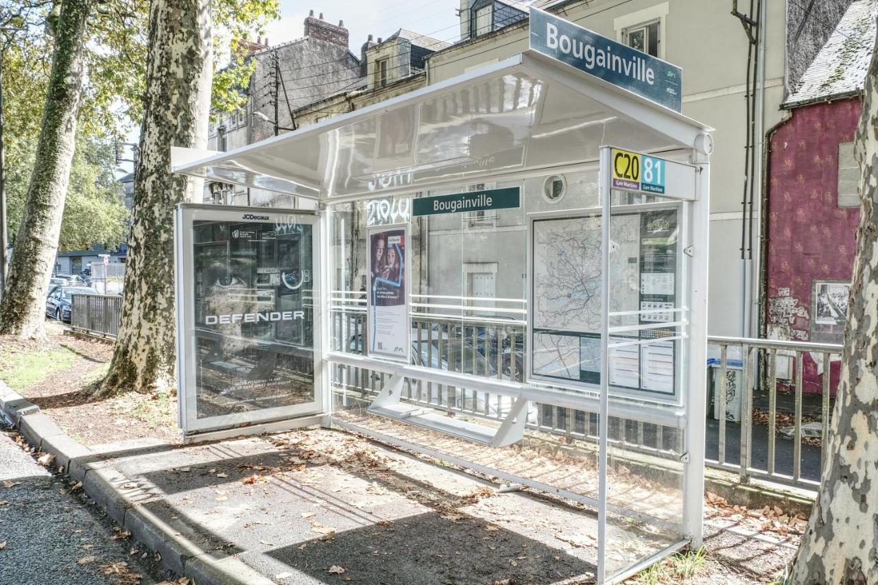 Appartement & Confort